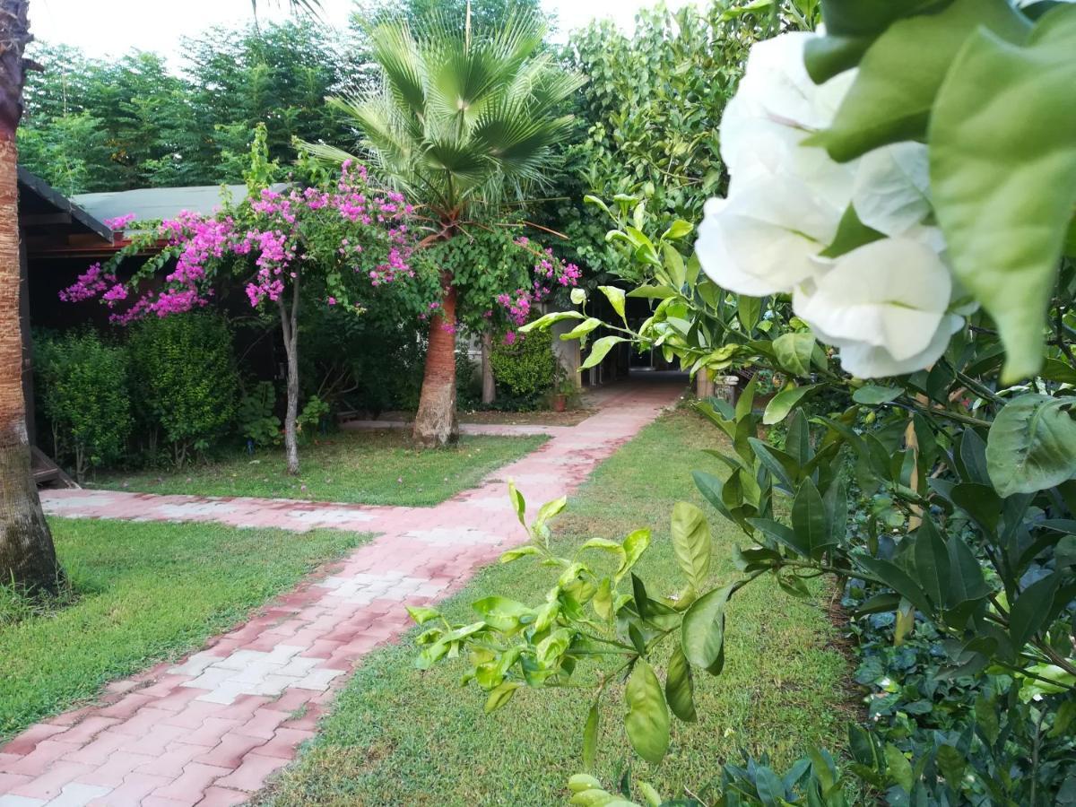 Kervan Pansiyon Çıralı Exterior foto
