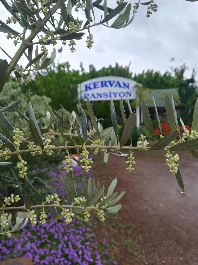 Kervan Pansiyon Çıralı Exterior foto