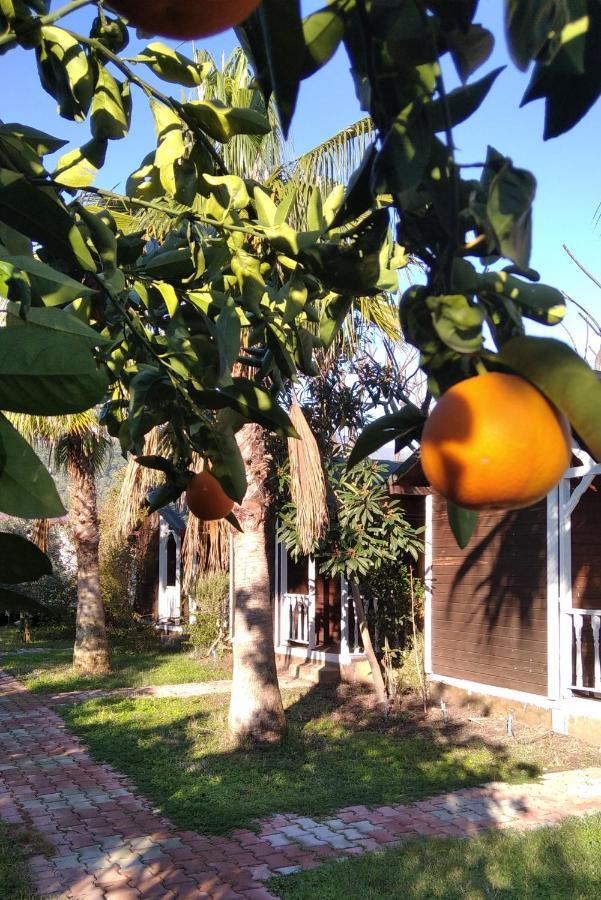 Kervan Pansiyon Çıralı Exterior foto