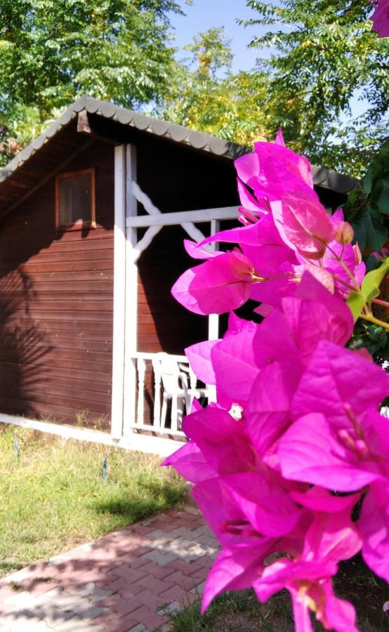 Kervan Pansiyon Çıralı Exterior foto